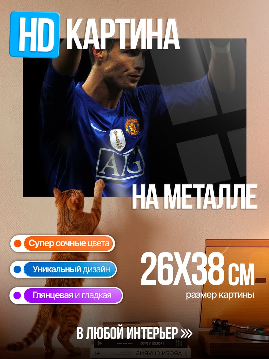 Картина на металле футболист Роналду