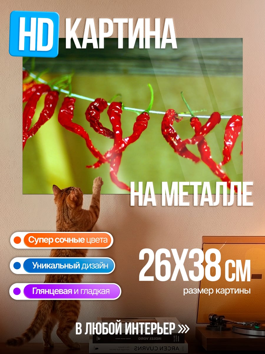 Картина на металле Сушеные красные перцы