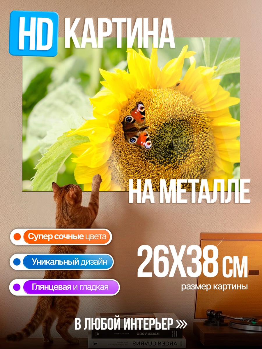 Картина на металле Бабочка на подсолнухе