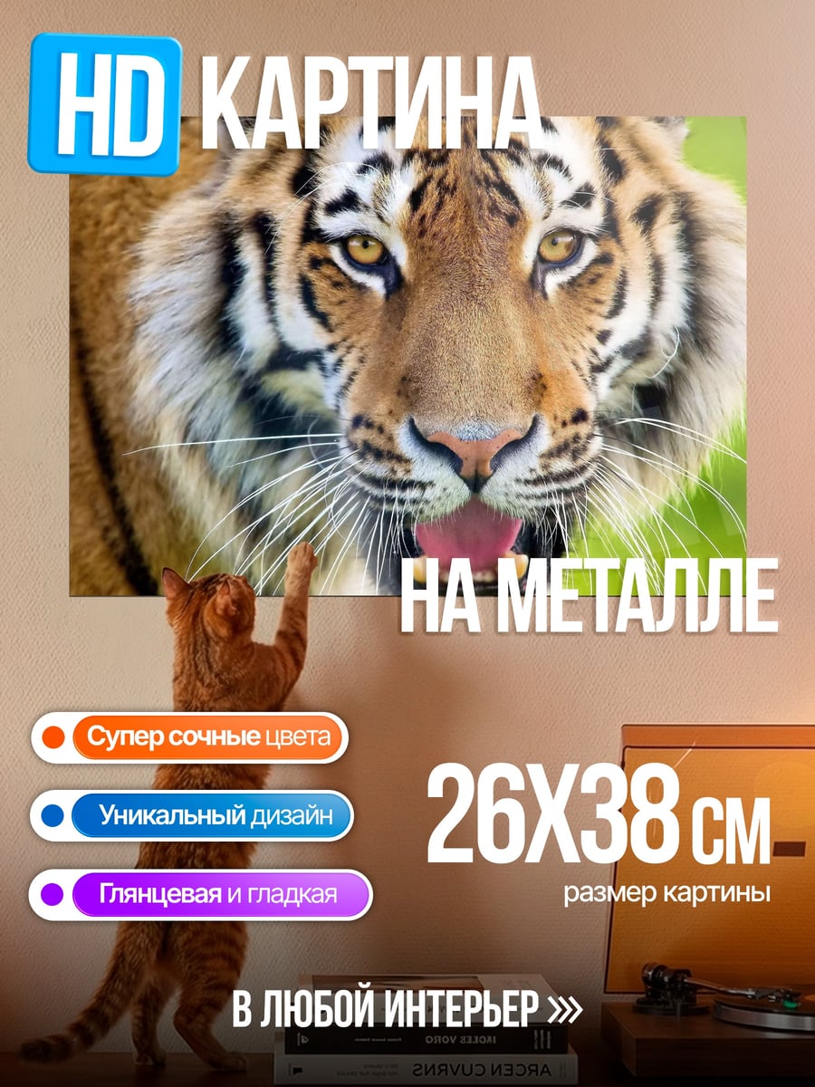 Картина на металле Грозный тигр смотрит