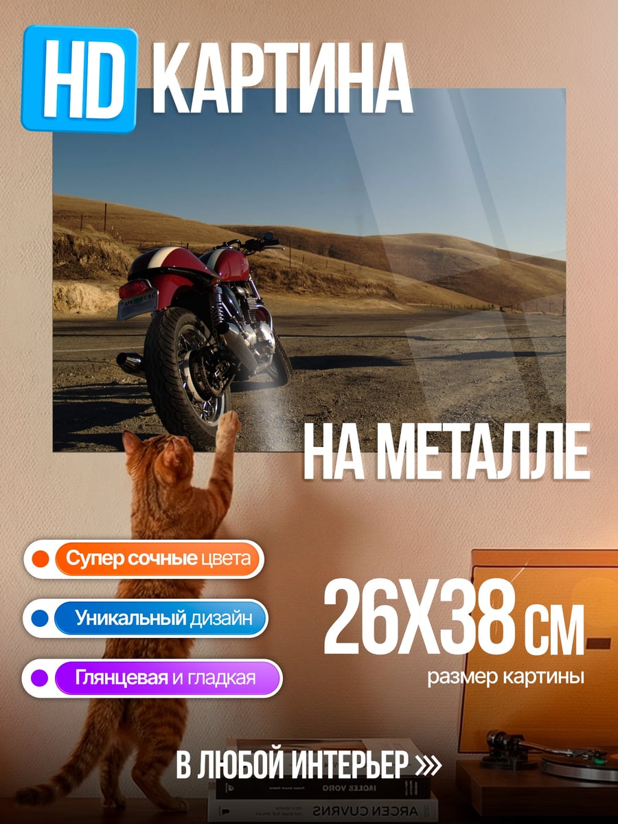 Картина на металле Мотоцикл на дороге