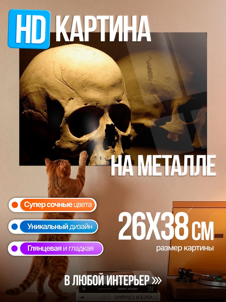 Картина на металле Два черепа