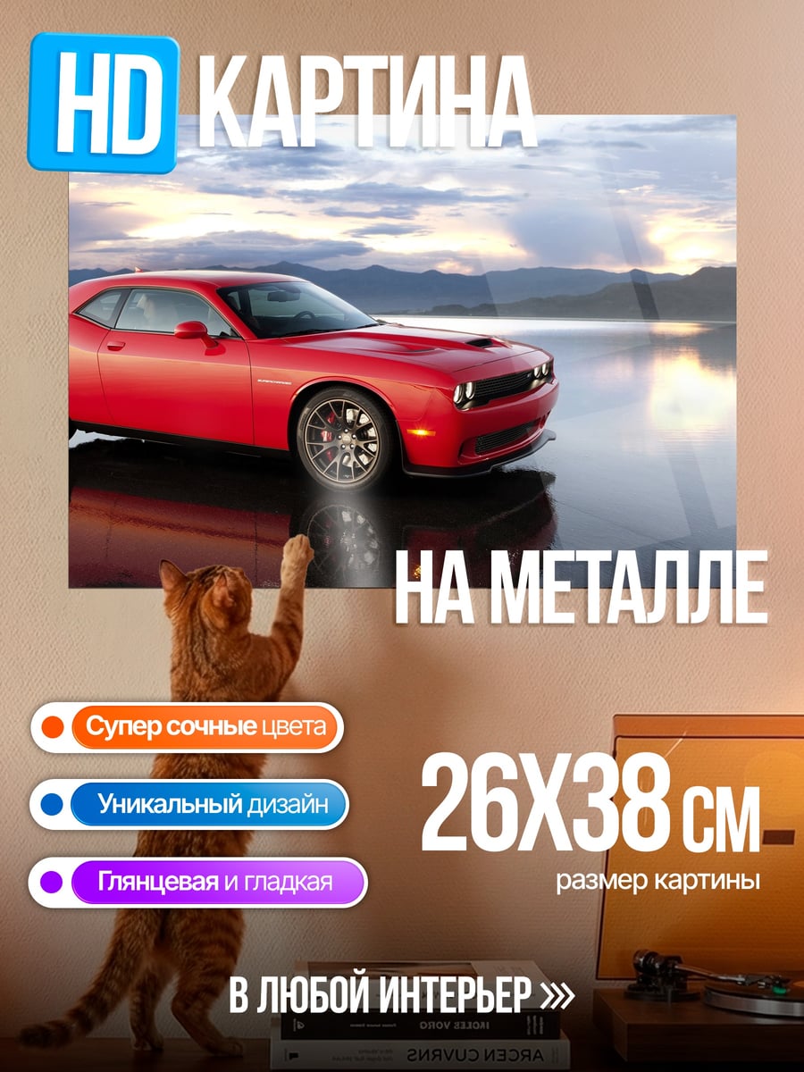 Картина на металле Красный маслкар