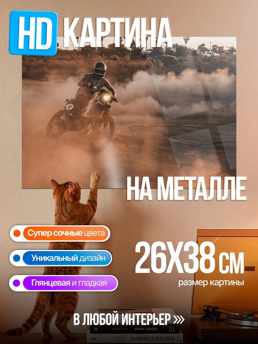 Картина на металле Мотоциклист в пыли