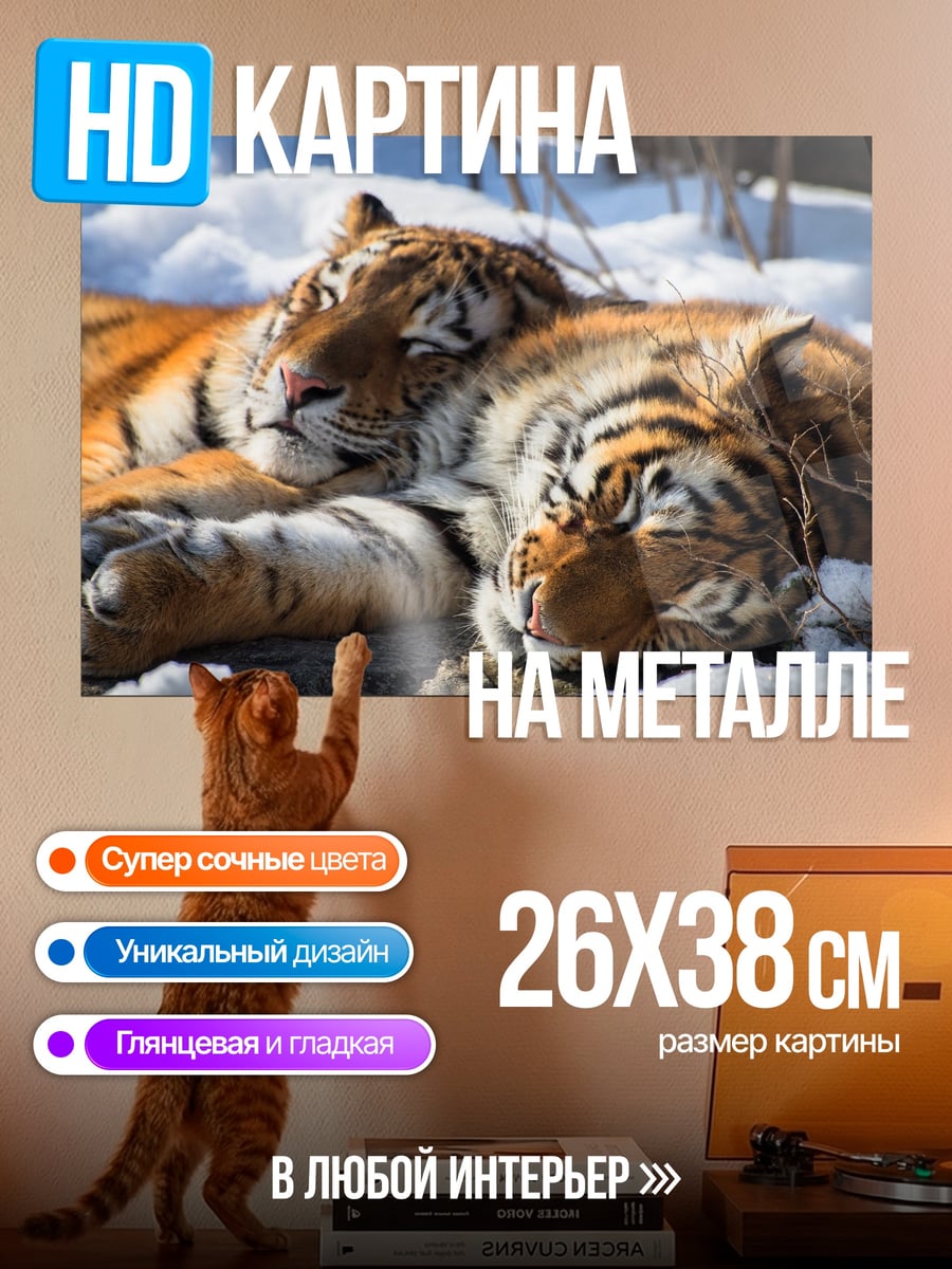 Картина на металле Два тигра в снегу