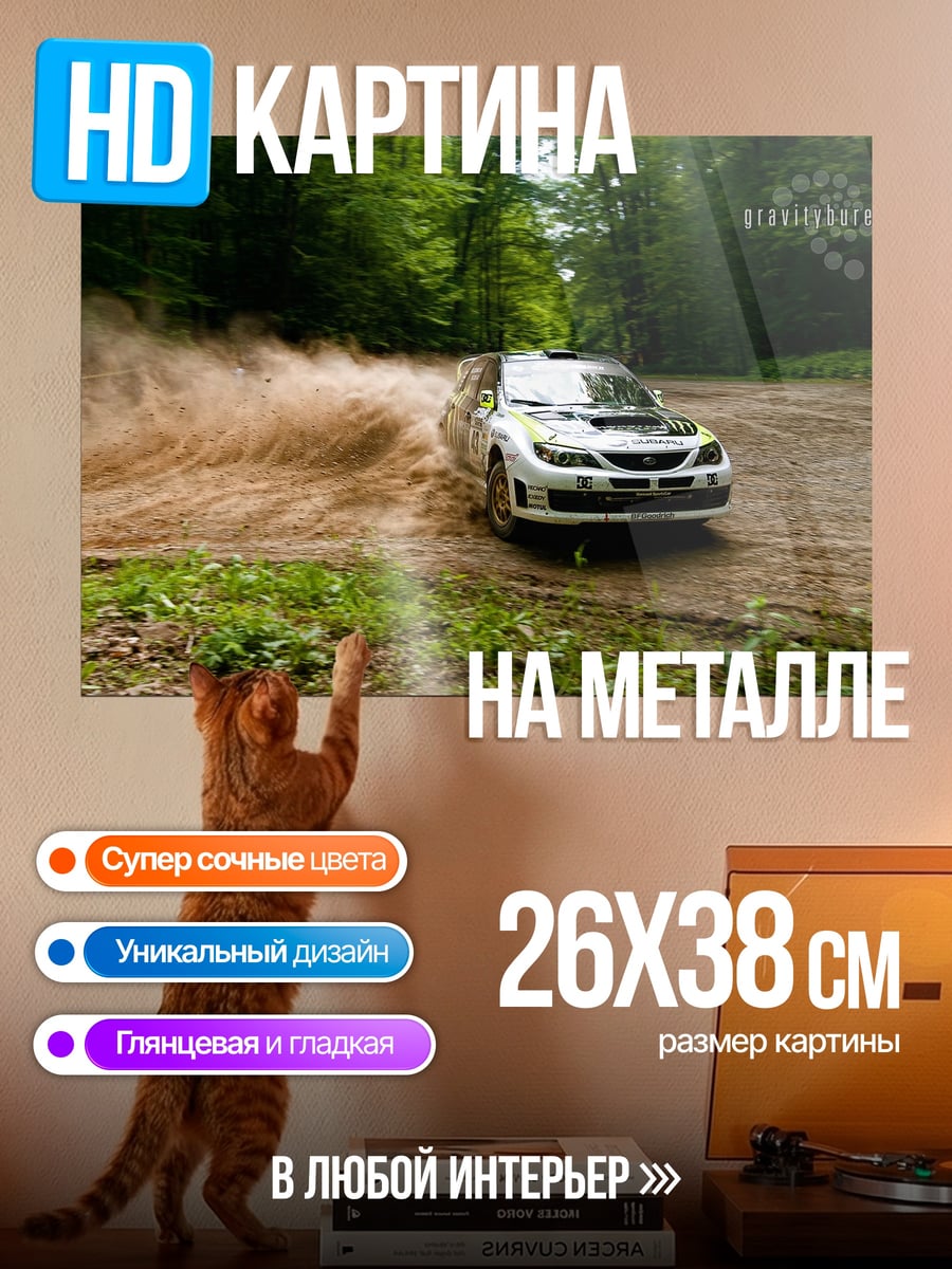 Картина на металле Раллийная машина в грязи