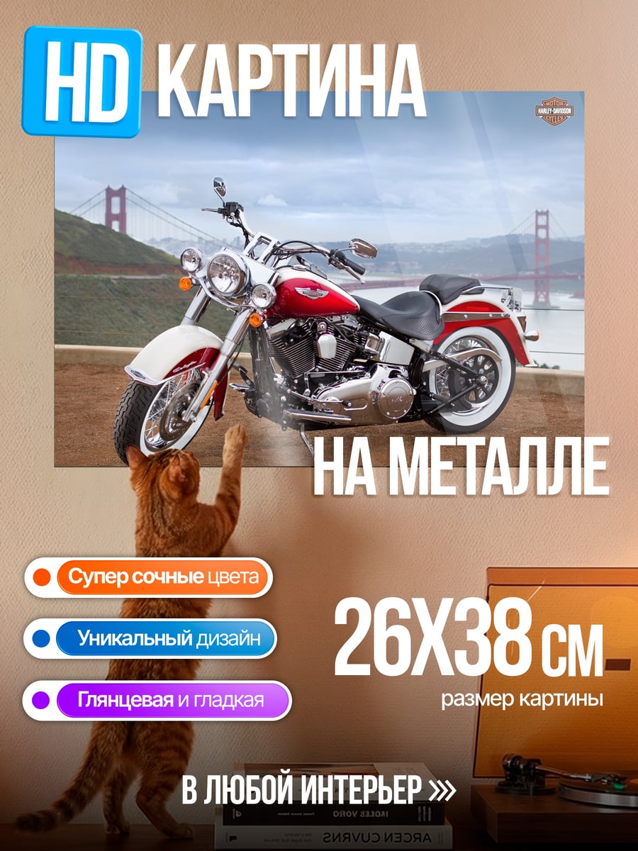 Картина на металле Харлей Дэвидсон мост