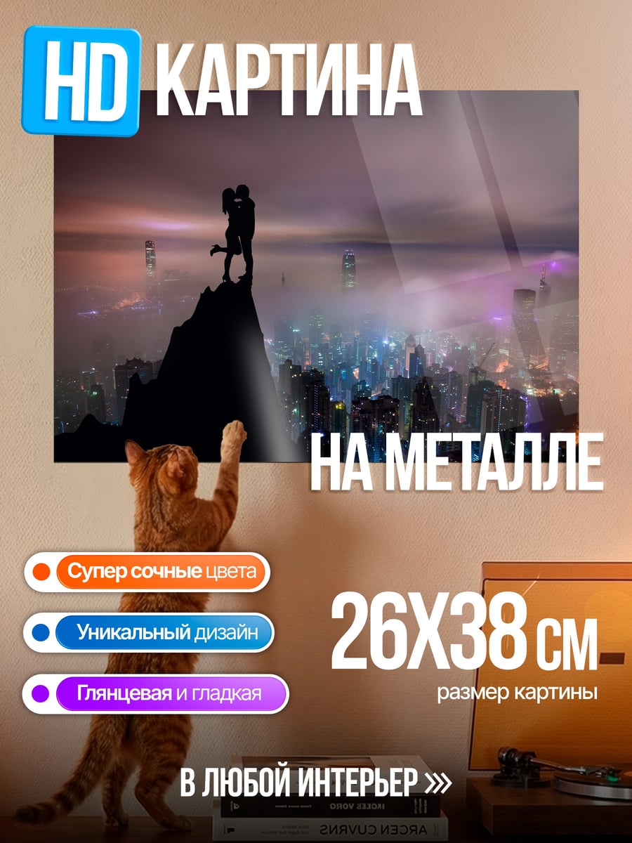 Картина на металле Пара на крыше