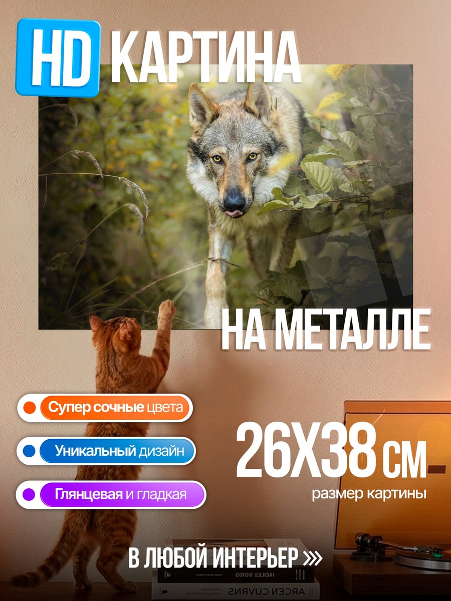 Картина на металле Волк в лесу