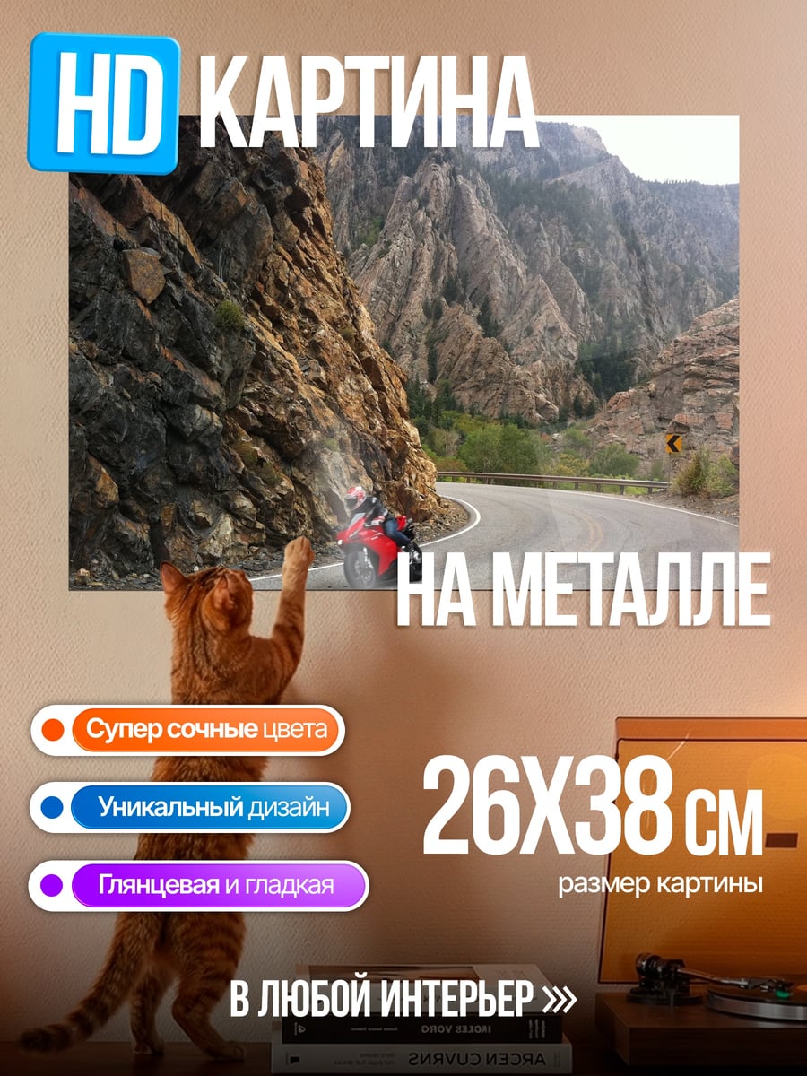 Картина на металле Мотоцикл в горах