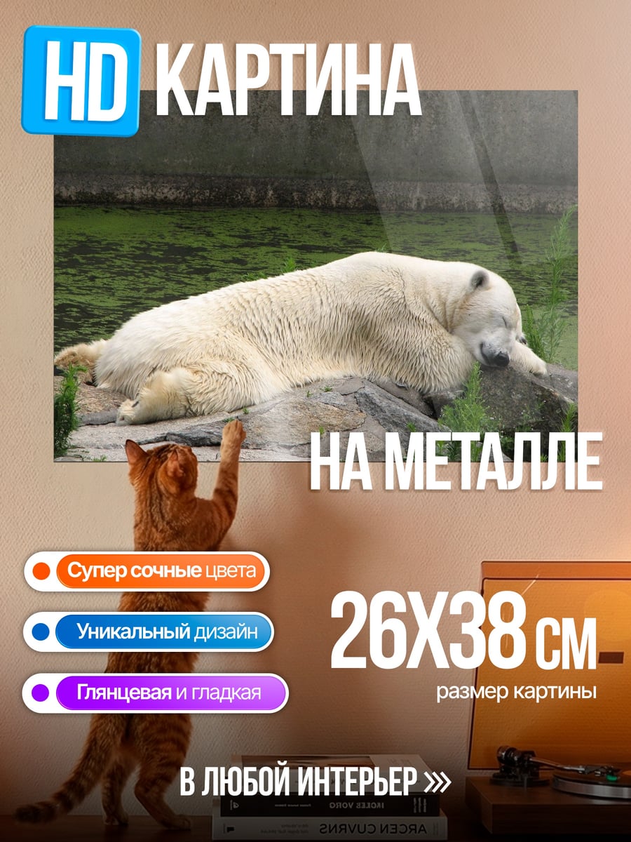 Картина на металле Спящий белый медведь