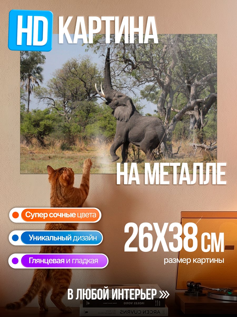 Картина на металле Слон трубит