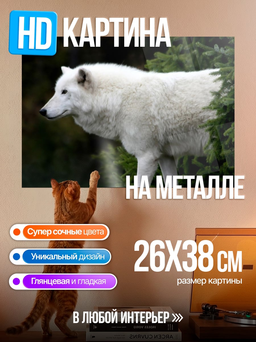 Картина на металле белый волк в лесу