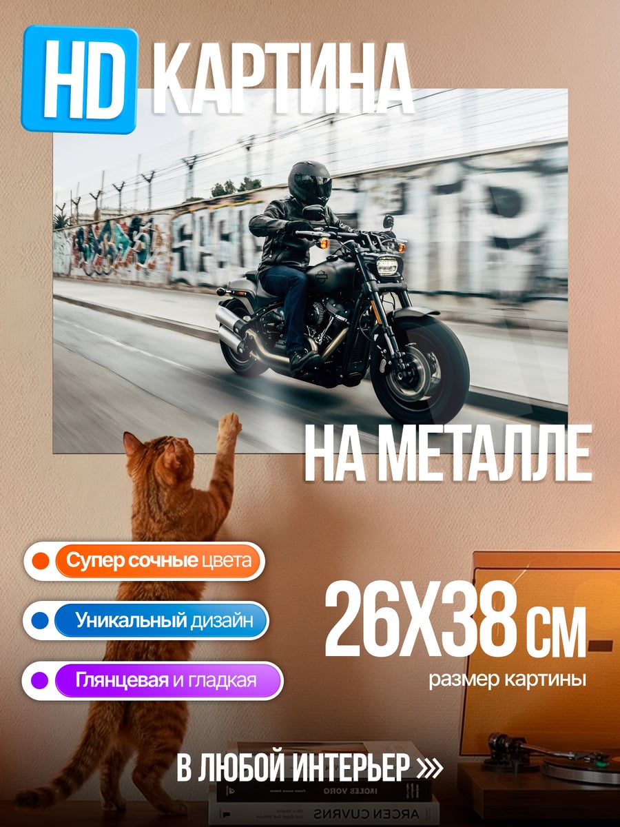 Картина на металле байкер на дороге