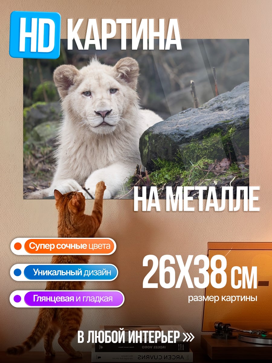 Картина на металле Белый львёнок