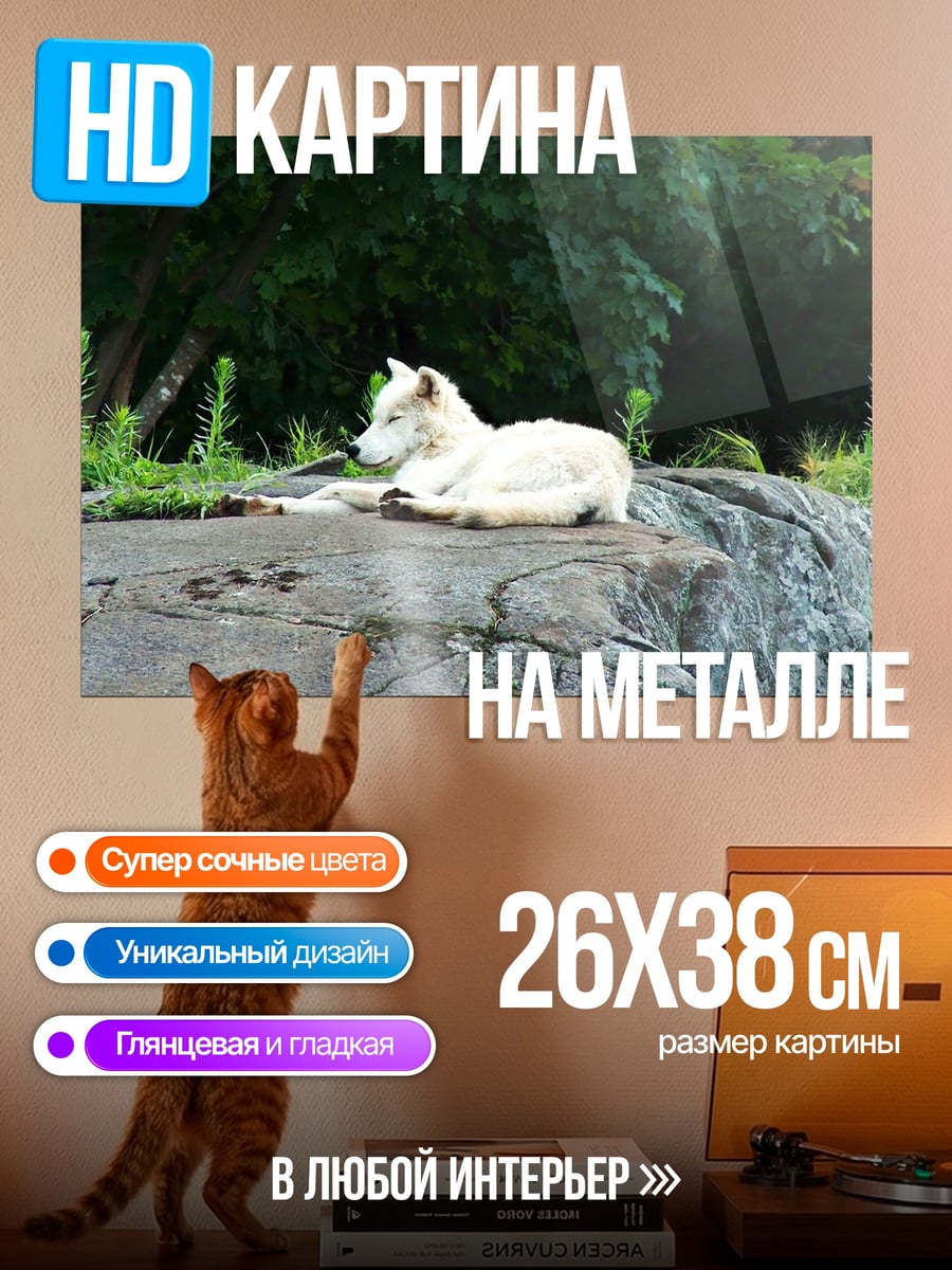 Картина на металле Белый волк