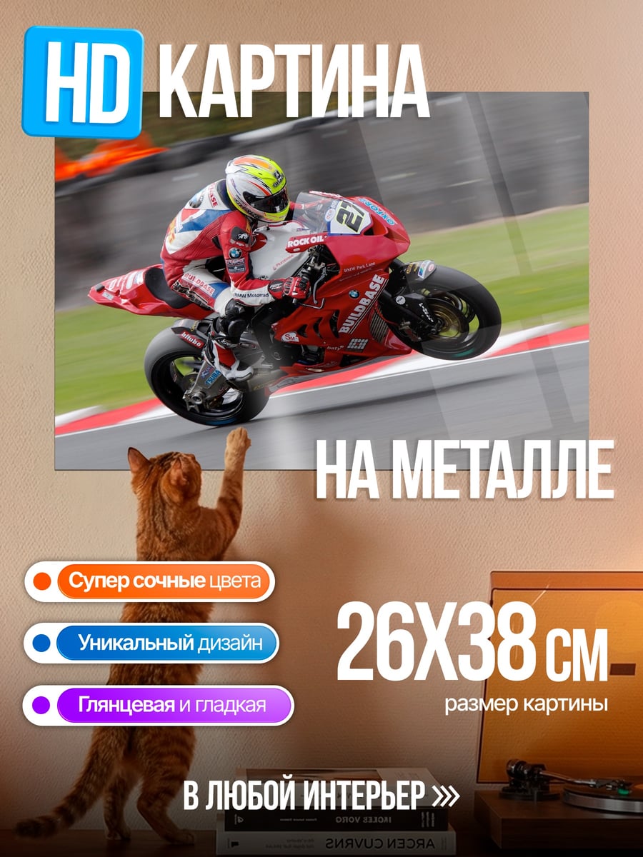 Картина на металле Гонщик на мотоцикле