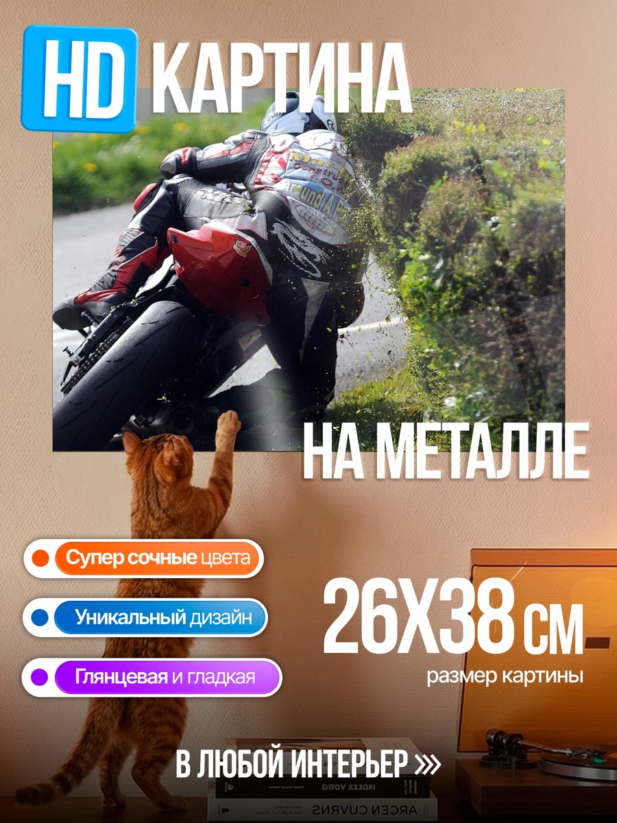 Картина на металле Гонщик на мотоцикле
