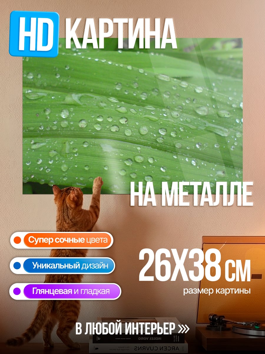 Картина на металле Капли на листьях