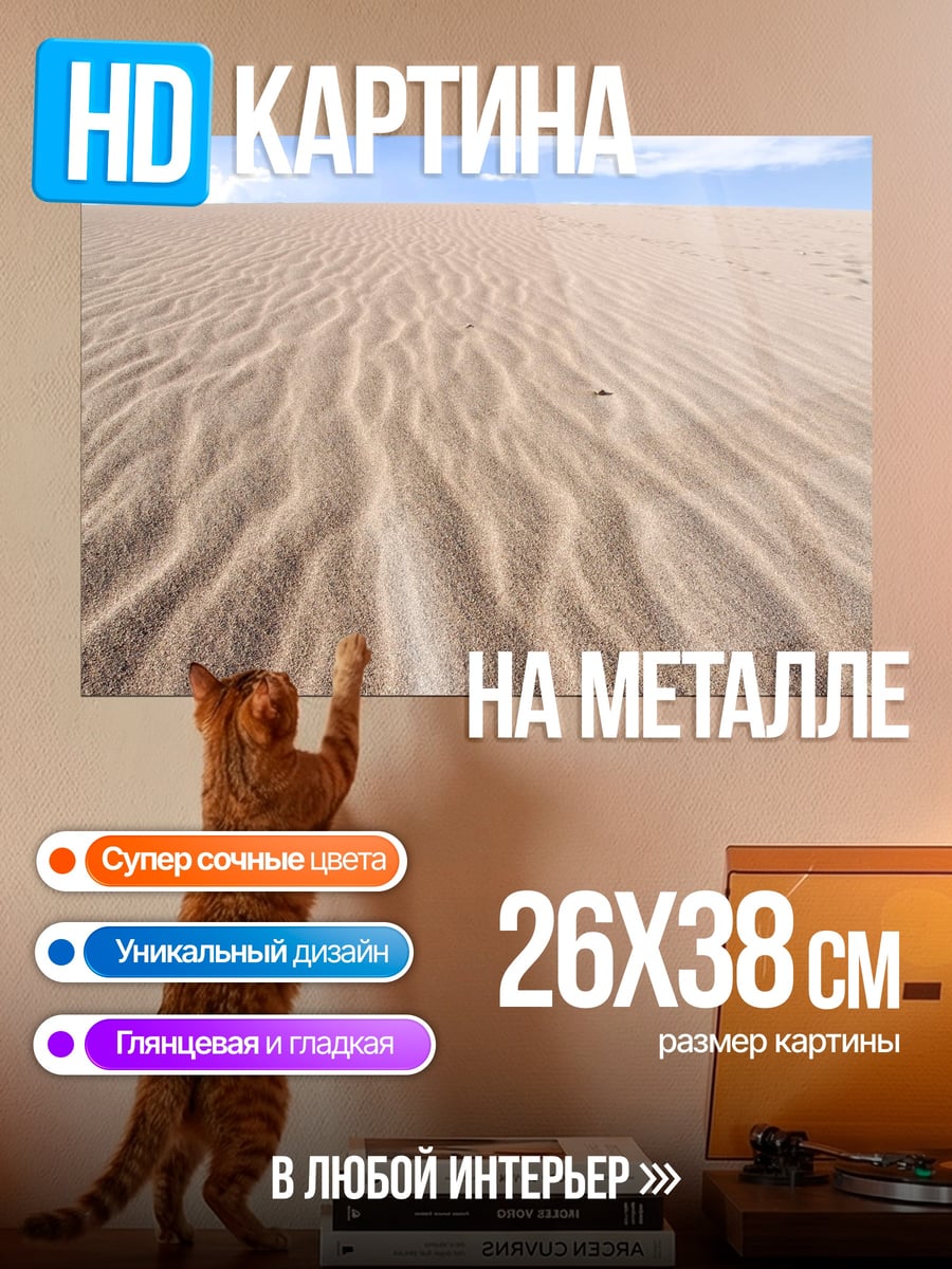 Картина на металле Песчаные дюны