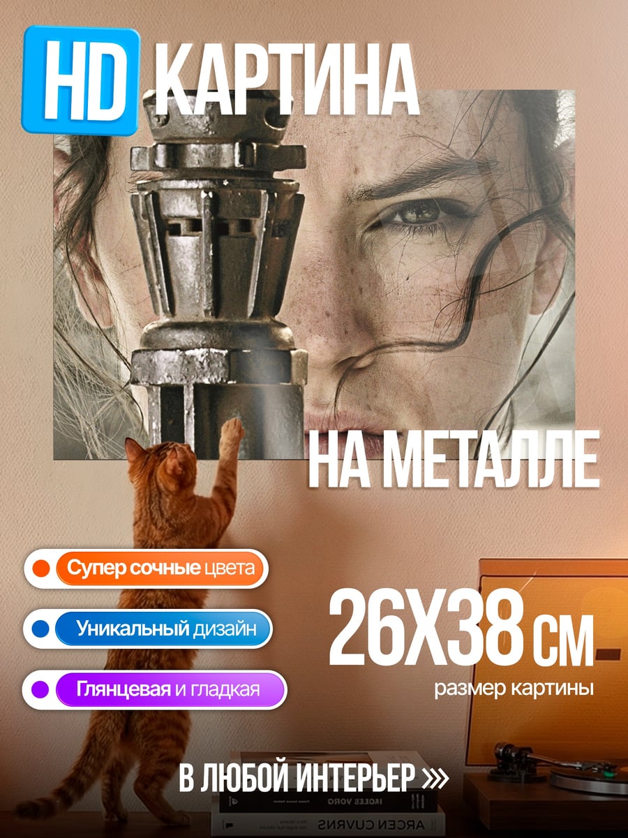 Картина на металле Рей из Звездных Войн