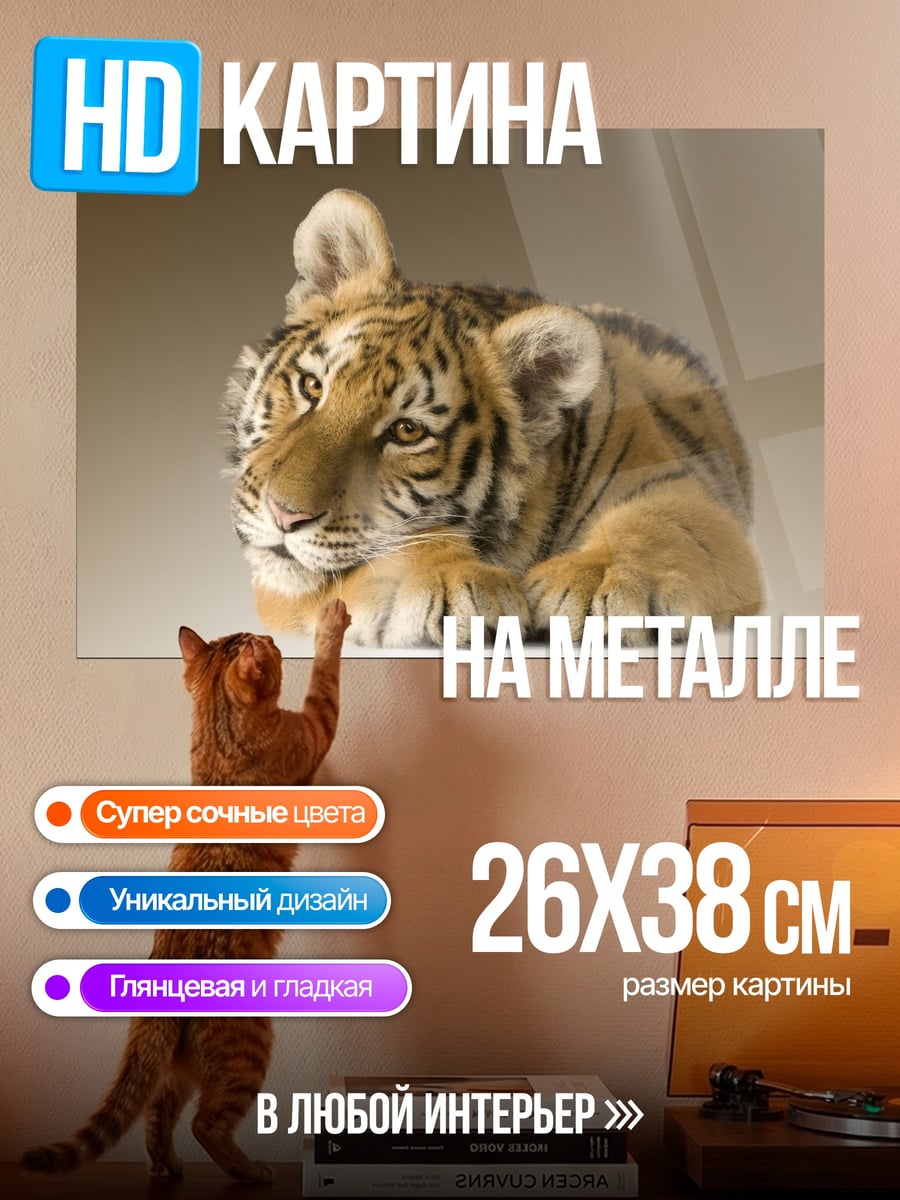Картина на металле тигр лежит