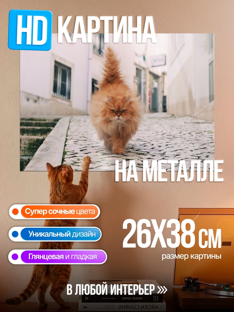 Картина на металле Рыжий кот идет