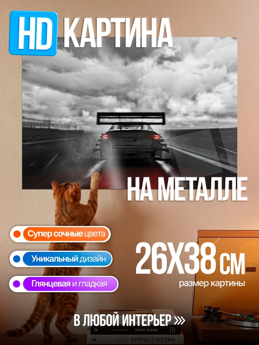Картина на металле Гоночный автомобиль