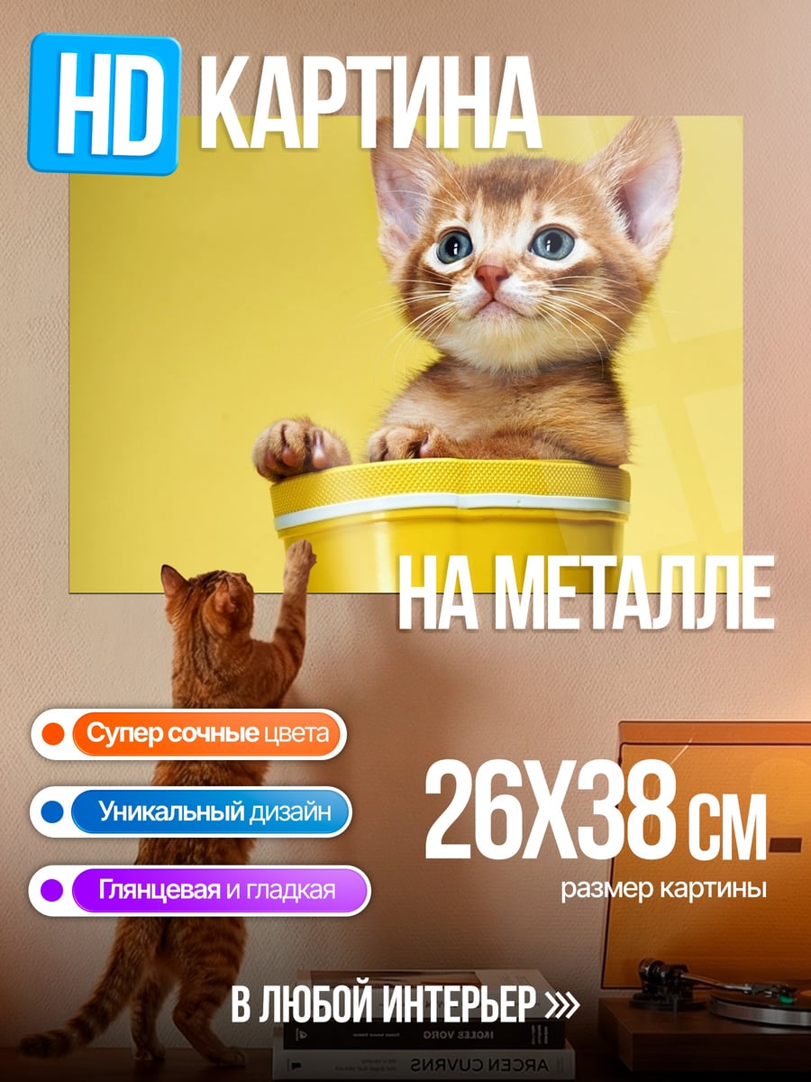 Картина на металле котенок в сапоге