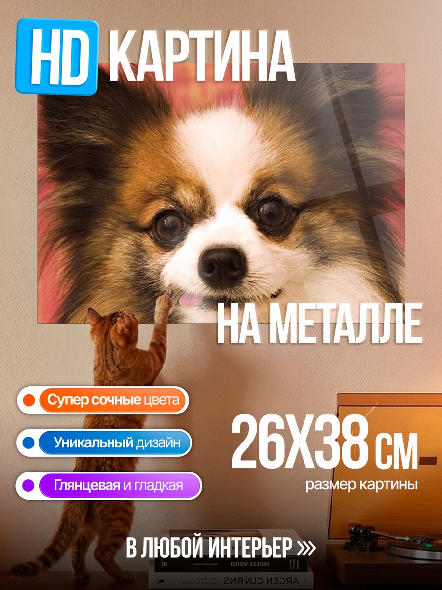 Картина на металле Папийон