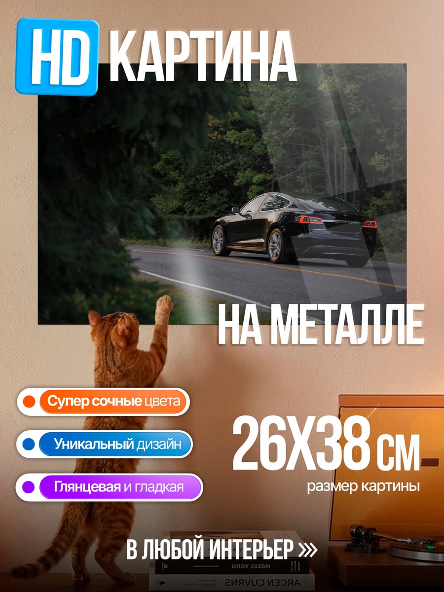 Картина на металле Черный автомобиль в лесу
