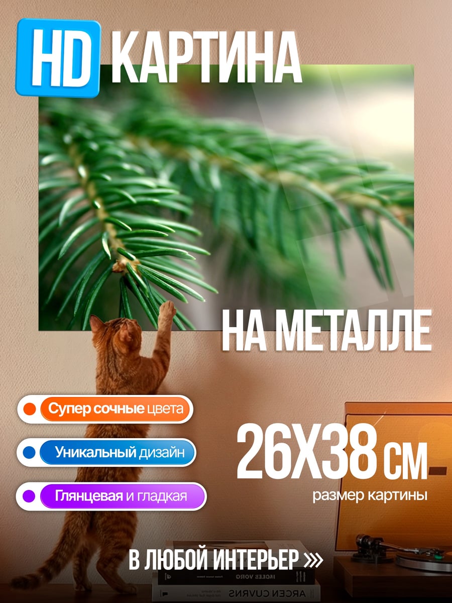 Картина на металле Еловая ветка крупным планом