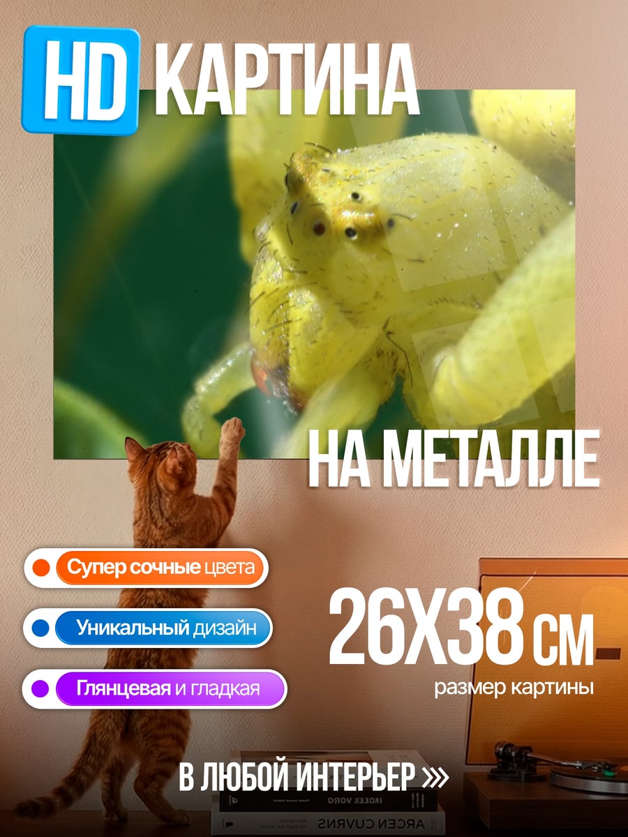 Картина на металле Желтый паук