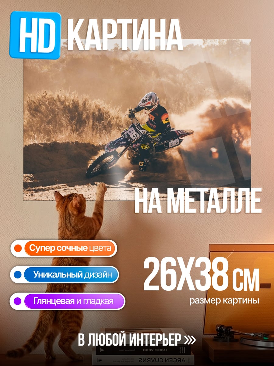 Картина на металле Мотокросс в пыли