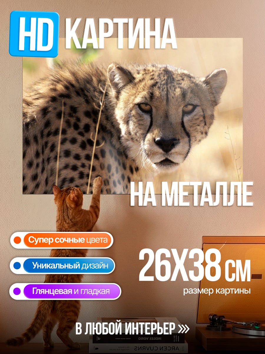 Картина на металле Гепард в саванне