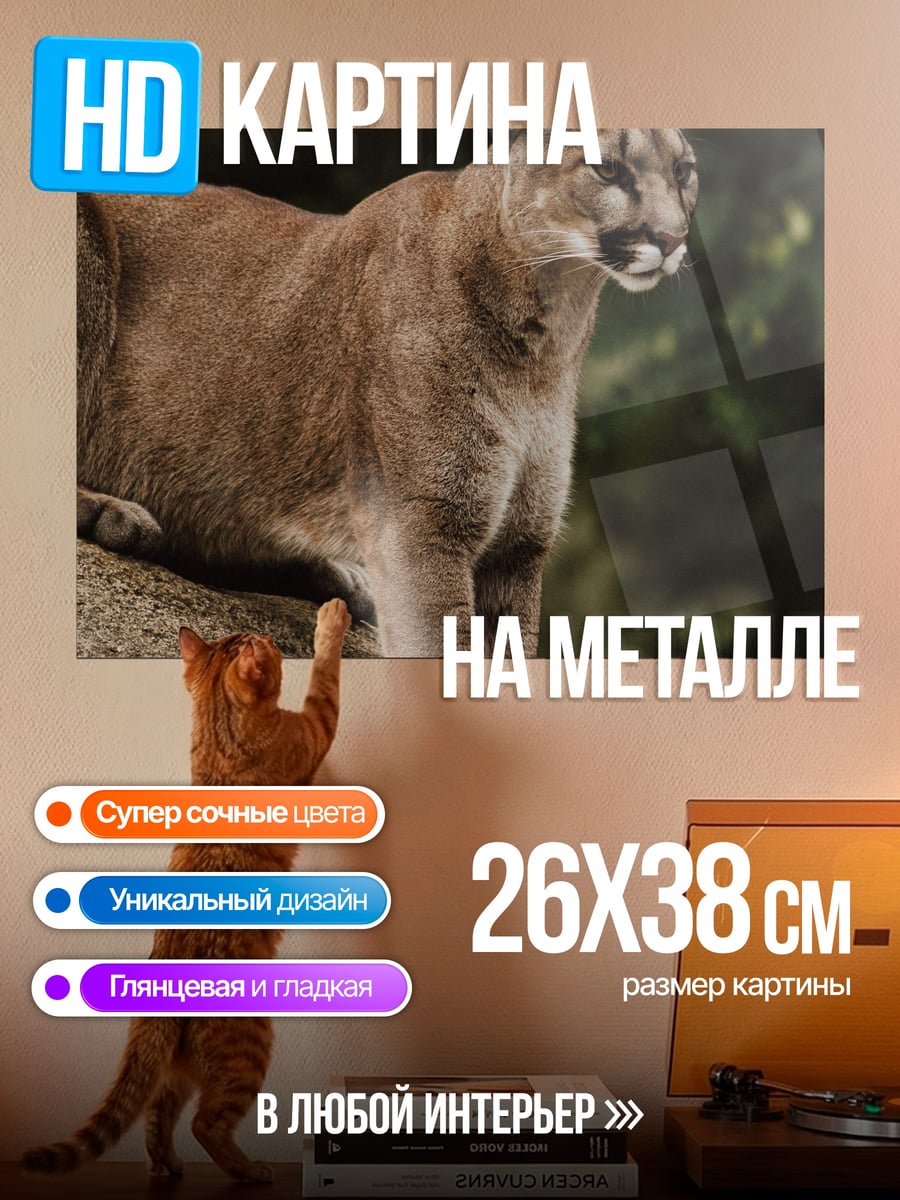 Картина на металле Пума на камне