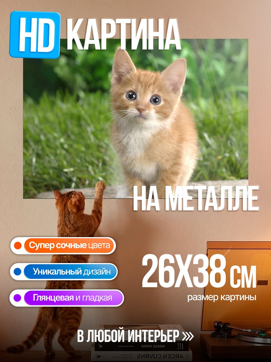 Картина на металле Рыжий котёнок
