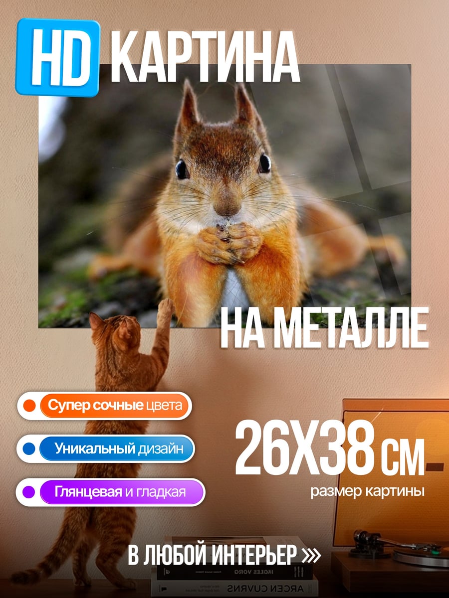 Картина на металле Белка ест орех