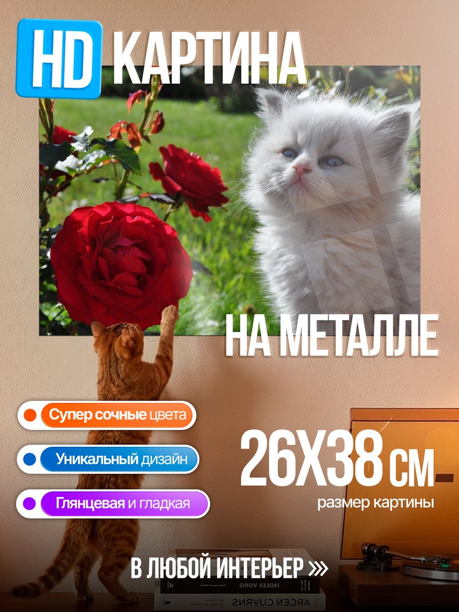 Картина на металле Котёнок и розы
