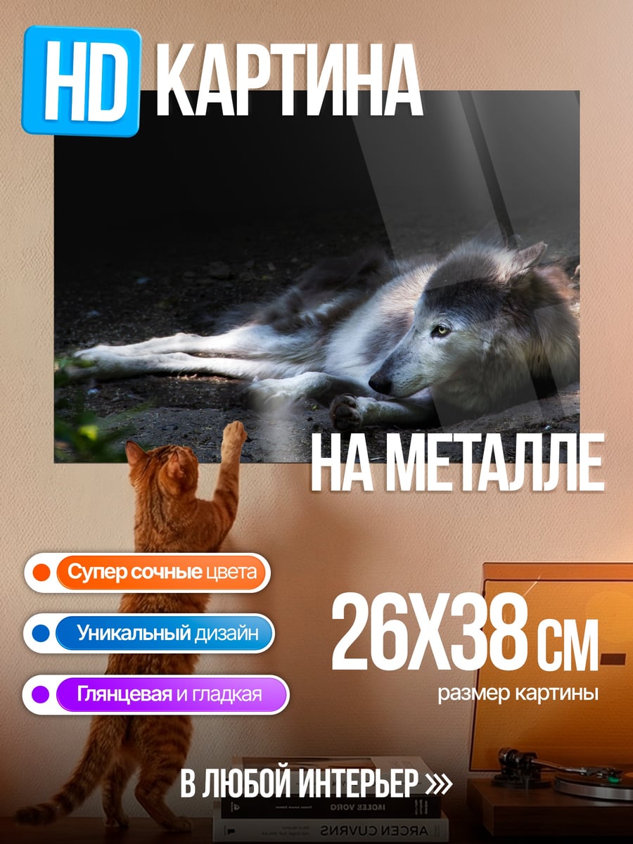 Картина на металле Лежащий волк