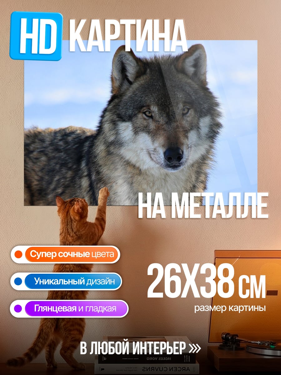 Картина на металле Волк в снегу