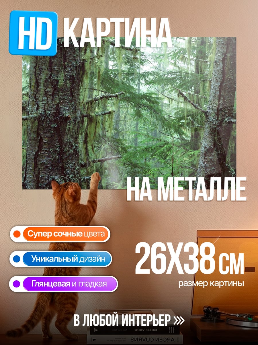 Картина на металле Мшистый лес