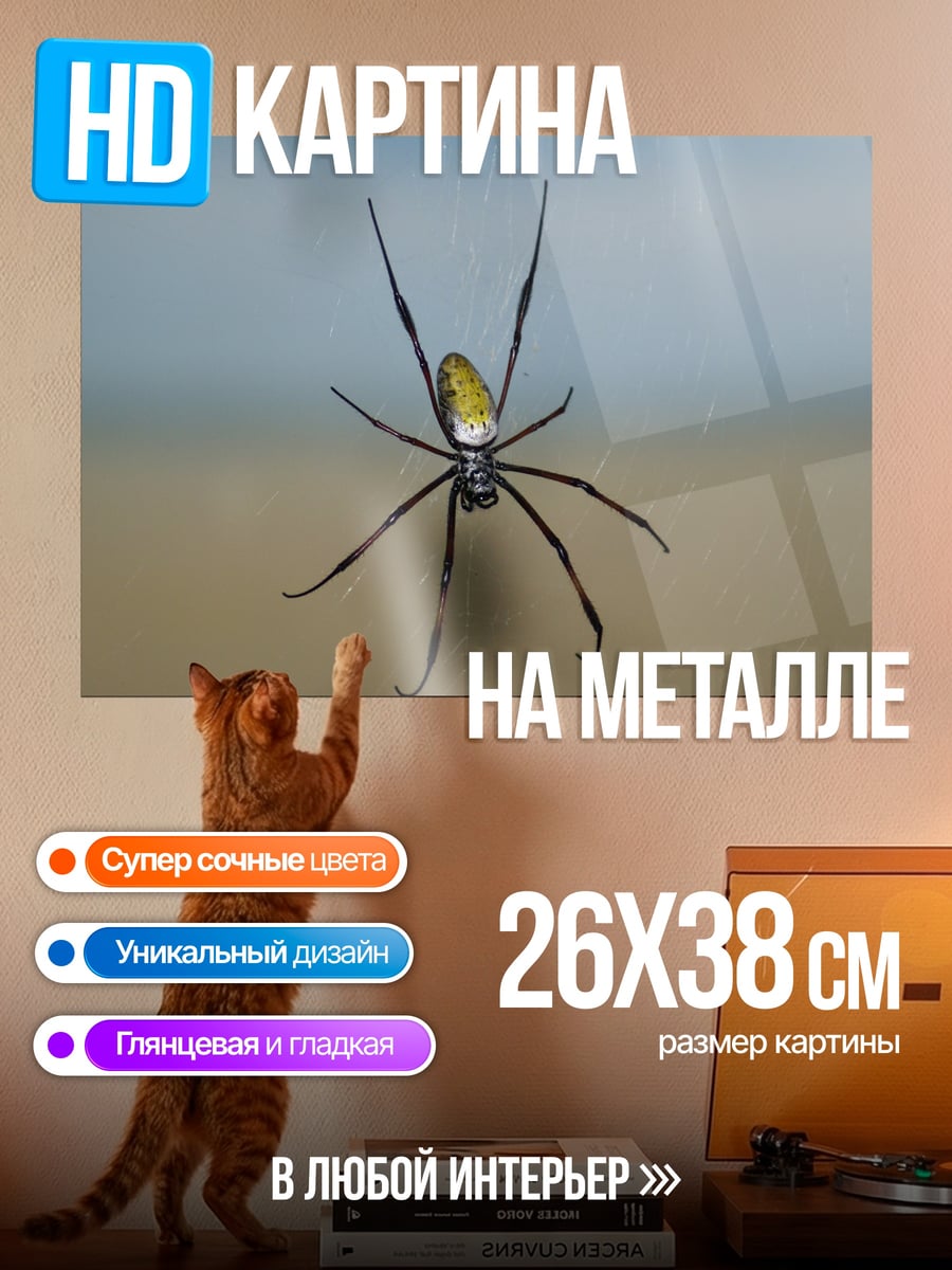 Картина на металле Паук-птицеед