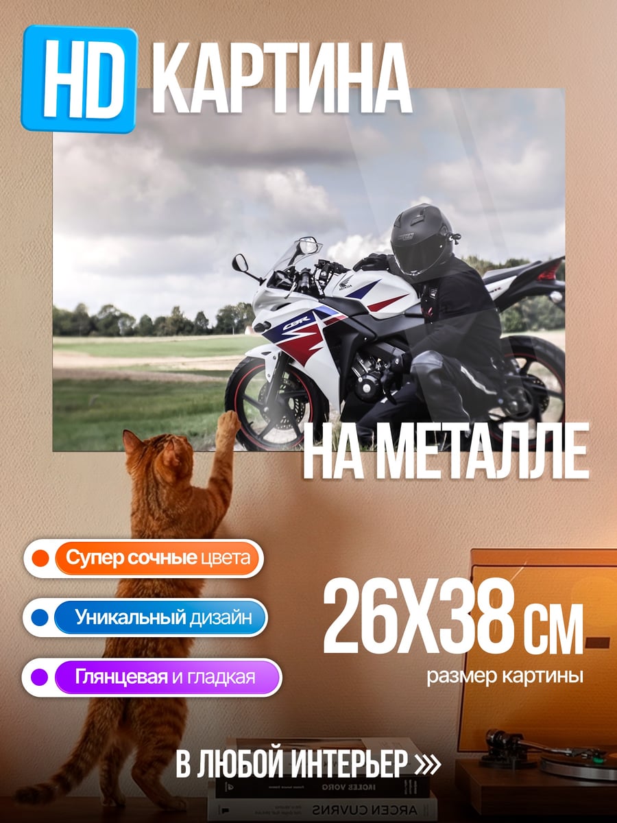 Картина на металле Мотоциклист и байк