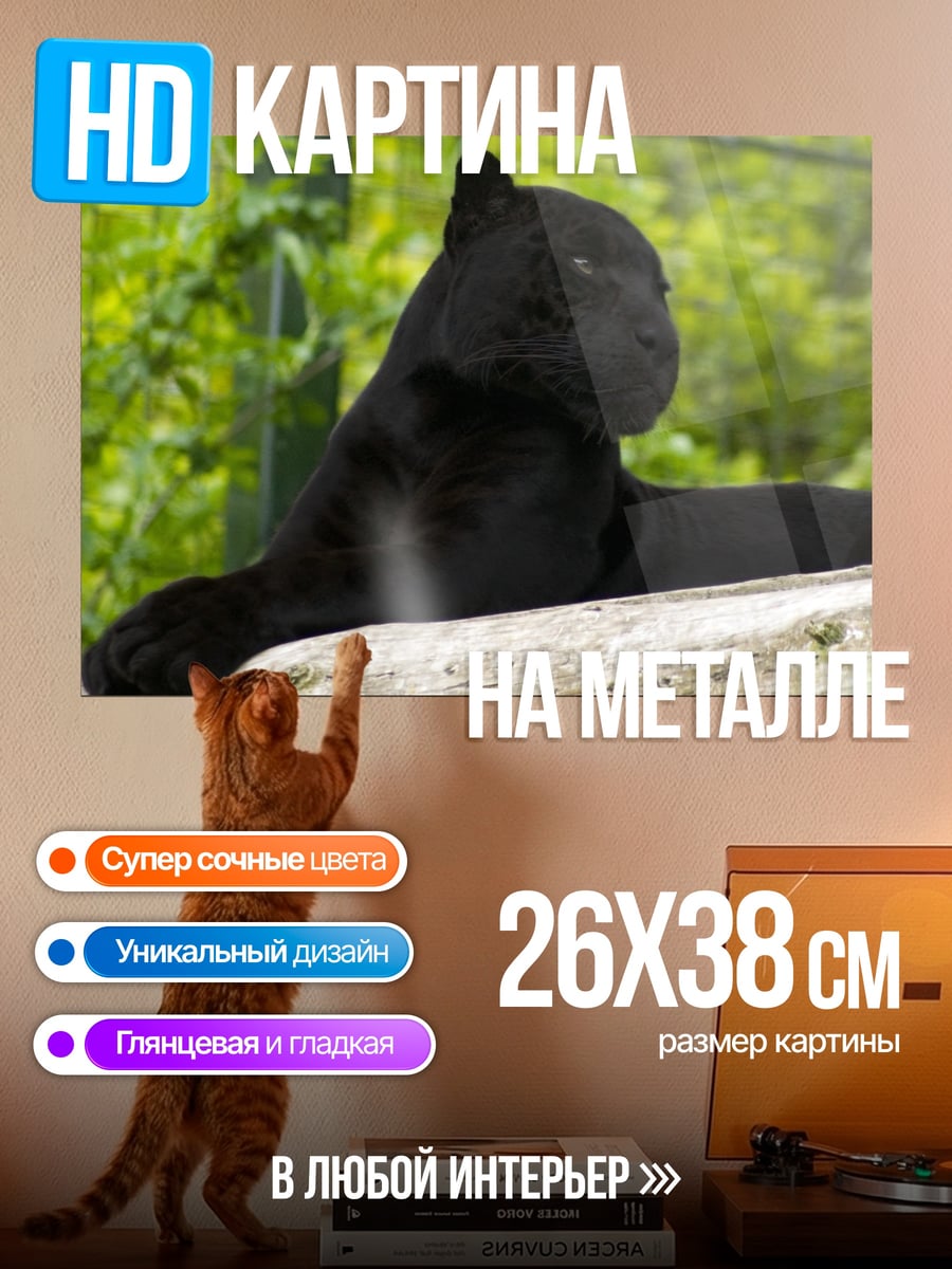 Картина на металле Черная пантера