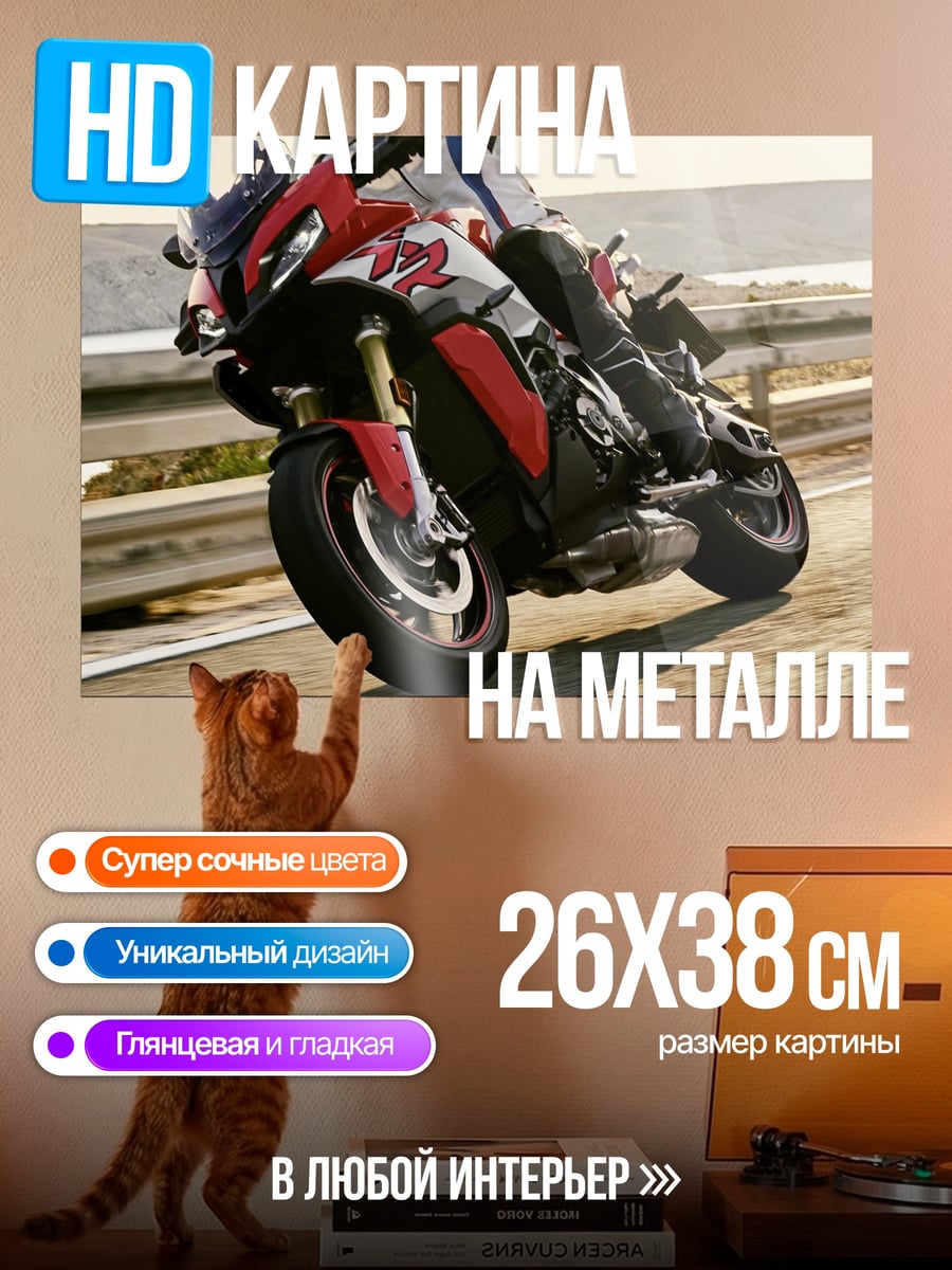 Картина на металле Гонщик на мотоцикле