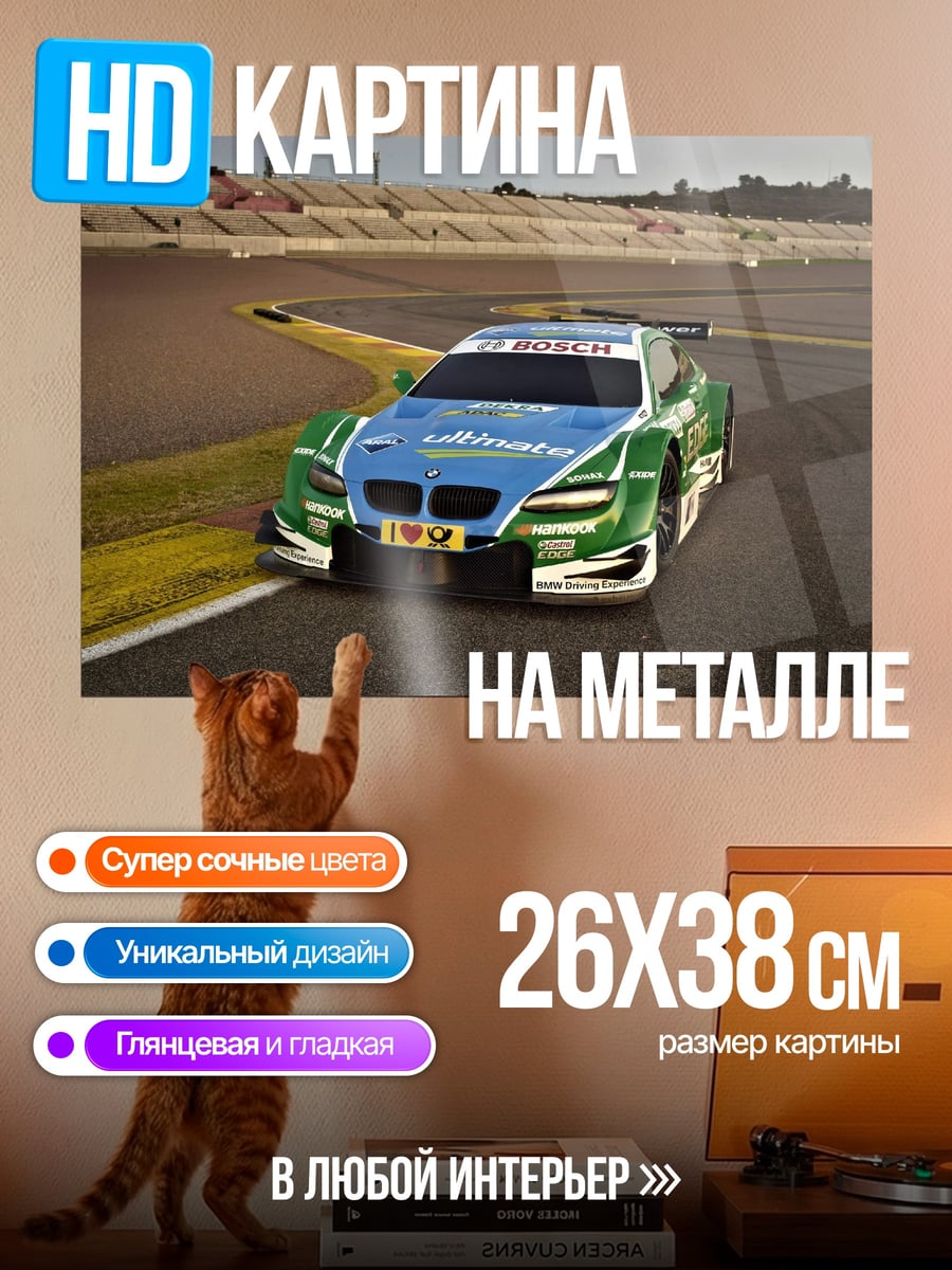 Картина на металле Гоночный автомобиль на трассе