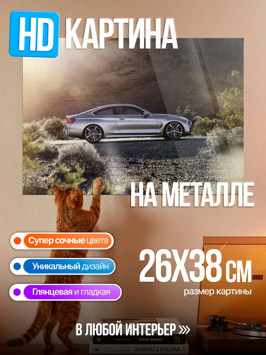 Картина на металле Серебристый автомобиль в природе