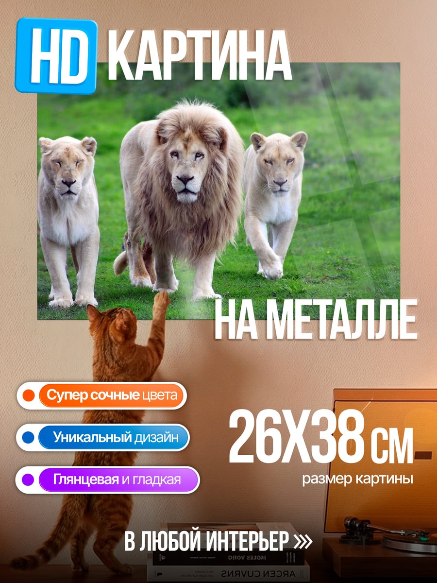 Картина на металле Львиная семья на поляне
