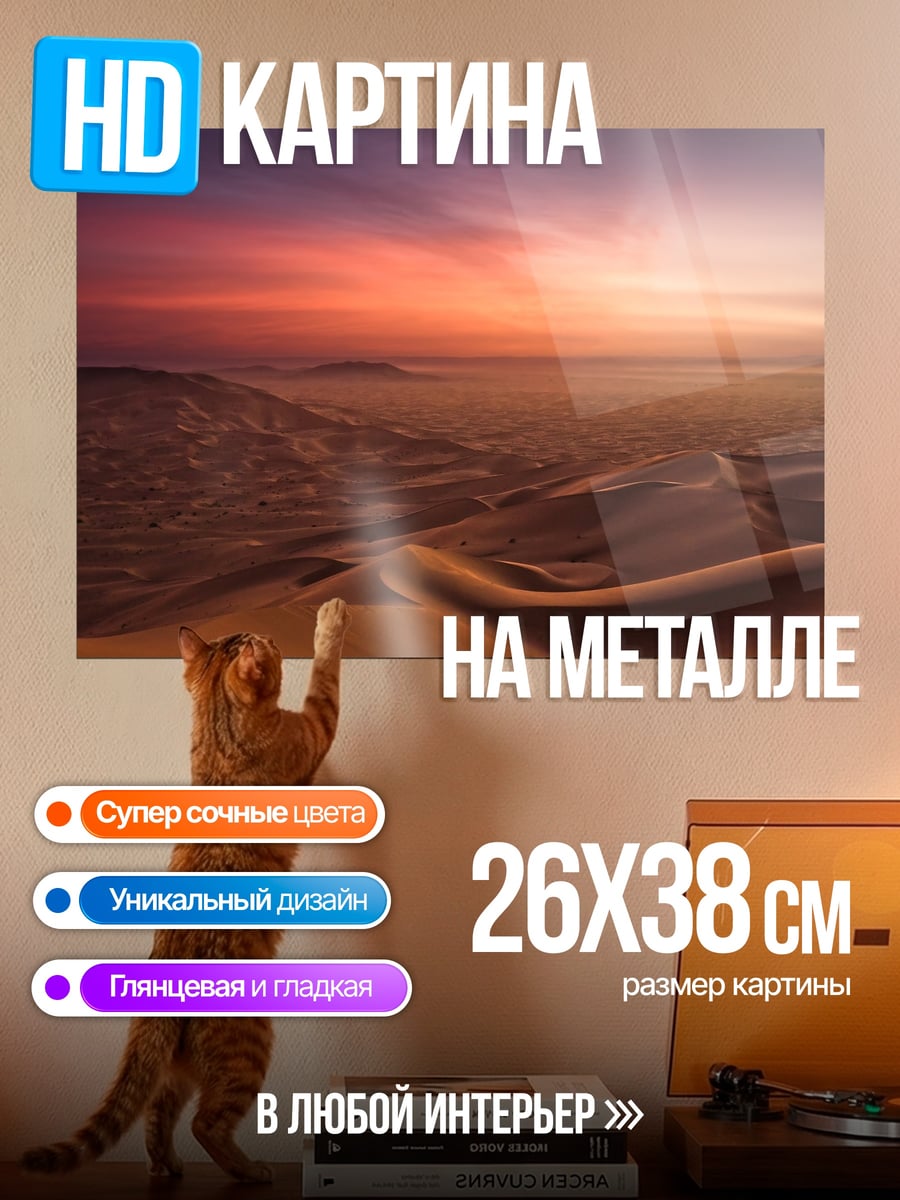 Картина на металле Закат в пустыне